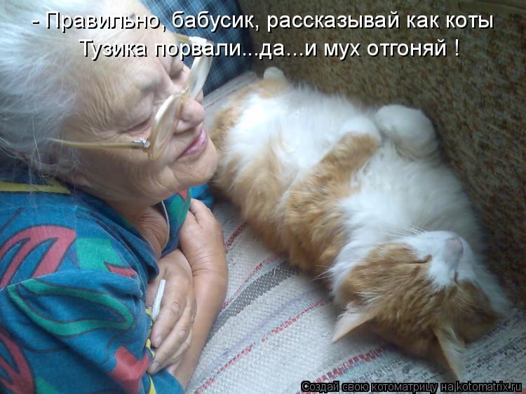Котоматрица: - Правильно, бабусик, рассказывай как коты Тузика порвали...да...и мух отгоняй !
