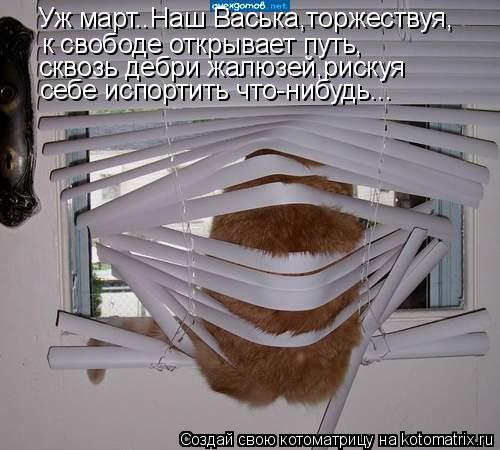Котоматрица: Уж март..Наш Васька,торжествуя, к свободе открывает путь, сквозь дебри жалюзей,рискуя себе испортить что-нибудь...