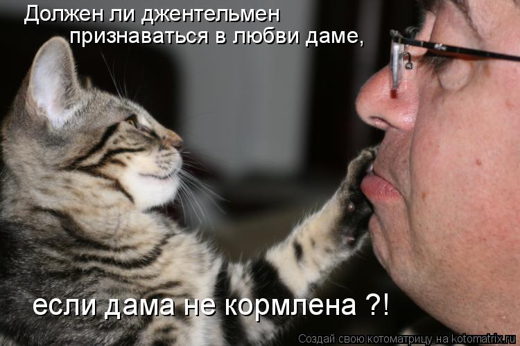 Должен ли джентельмен признаваться в любви даме, если дама не кормлена ?!... Котоматрица: Должен ли джентельмен признаваться в любви даме, если дама не кормлена ?!