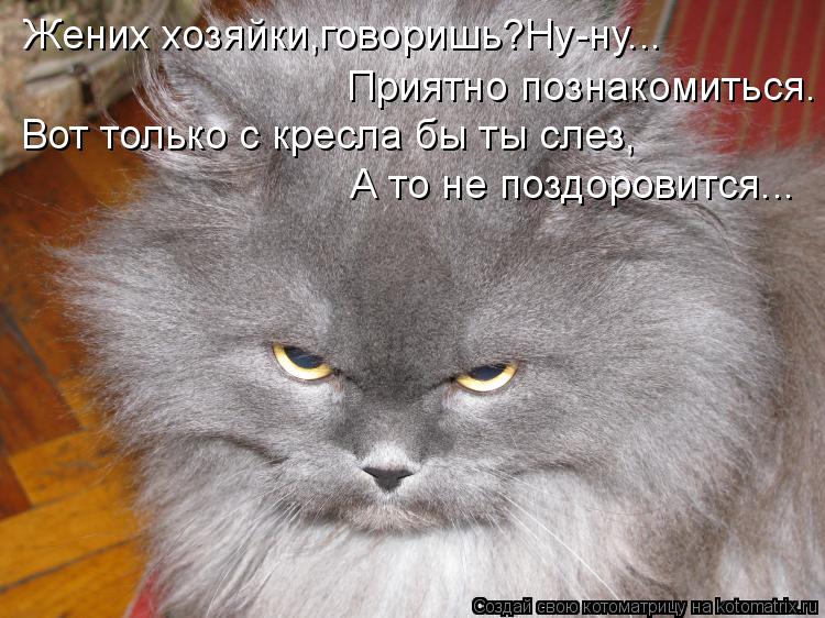 Жених хозяйки,говоришь?Ну-ну... Приятно познакомиться. Вот только с кресла бы ты слез, А то не поздор... Котоматрица: Жених хозяйки,говоришь?Ну-ну... Приятно познакомиться. Вот только с кресла бы ты слез, А то не поздоровится...