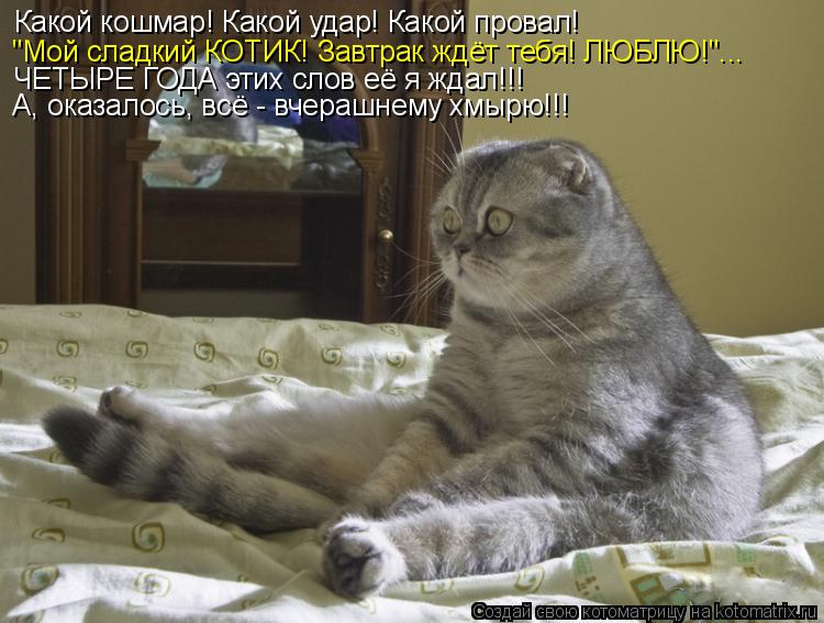 Какой кошмар! Какой удар! Какой провал! "Мой сладкий КОТИК! Завтрак ждёт тебя! ЛЮБЛЮ!"... ЧЕТЫРЕ ГОДА... Котоматрица: Какой кошмар! Какой удар! Какой провал! "Мой сладкий КОТИК! Завтрак ждёт тебя! ЛЮБЛЮ!"... ЧЕТЫРЕ ГОДА этих слов её я ждал!!! А, оказалось, всё - вче