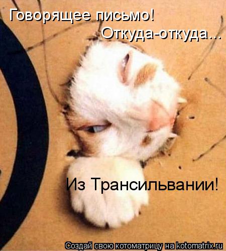 Говорящее письмо! Откуда-откуда... Из Трансильвании!... Котоматрица: Говорящее письмо! Откуда-откуда... Из Трансильвании!