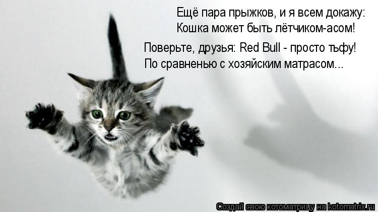Котоматрица: Ещё пара прыжков, и я всем докажу: Кошка может быть лётчиком-асом! Поверьте, друзья: Red Bull - просто тьфу! По сравненью с хозяйским матрасом...