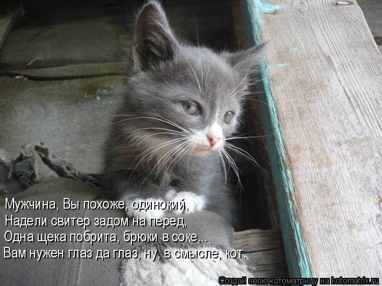 Мужчина, Вы похоже, одинокий, Надели свитер задом на перед, Одна щека побрита, брюки в соке... Вам ну... Котоматрица: Мужчина, Вы похоже, одинокий, Надели свитер задом на перед, Одна щека побрита, брюки в соке... Вам нужен глаз да глаз, ну, в смысле, кот.