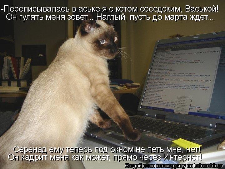 -Переписывалась в аське я с котом соседским, Васькой! Он гулять меня зовет... Наглый, пусть до марта ... Котоматрица: -Переписывалась в аське я с котом соседским, Васькой! Он гулять меня зовет... Наглый, пусть до марта ждет... Серенад ему теперь под окном не пет