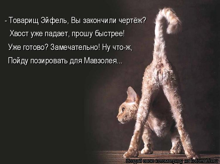 - Товарищ Эйфель, Вы закончили чертёж? Хвост уже падает, прошу быстрее! Уже готово? Замечательно! Ну ... Котоматрица: - Товарищ Эйфель, Вы закончили чертёж? Хвост уже падает, прошу быстрее! Уже готово? Замечательно! Ну что-ж, Пойду позировать для Мавзолея...