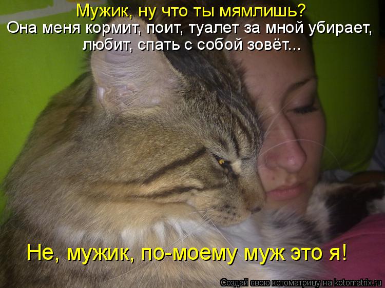 Мужик, ну что ты мямлишь? Она меня кормит, поит, туалет за мной убирает, любит, спать с собой зовёт..... Котоматрица: Мужик, ну что ты мямлишь? Она меня кормит, поит, туалет за мной убирает, любит, спать с собой зовёт... Не, мужик, по-моему муж это я!