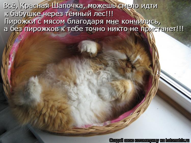 Всё, Красная Шапочка, можешь смело идти к бабушке через тёмный лес!!! Пирожки с мясом благодаря мне к... Котоматрица: Всё, Красная Шапочка, можешь смело идти к бабушке через тёмный лес!!! Пирожки с мясом благодаря мне кончились, а без пирожков к тебе точно ник