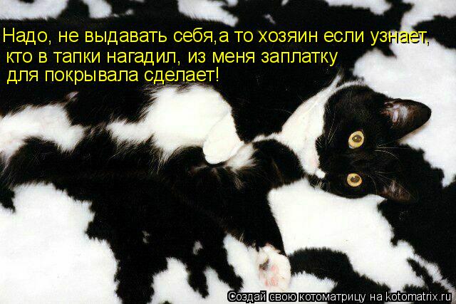 Котоматрица: Надо, не выдавать себя,а то хозяин если узнает, кто в тапки нагадил, из меня заплатку  для покрывала сделает!