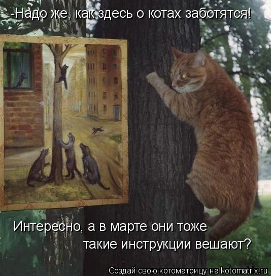-Надо же, как здесь о котах заботятся! Интересно, а в марте они тоже такие инструкции вешают?... Котоматрица: -Надо же, как здесь о котах заботятся! Интересно, а в марте они тоже такие инструкции вешают?