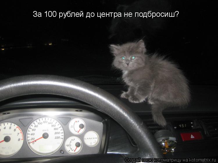 За 100 рублей до центра не подбросиш?... Котоматрица: За 100 рублей до центра не подбросиш?