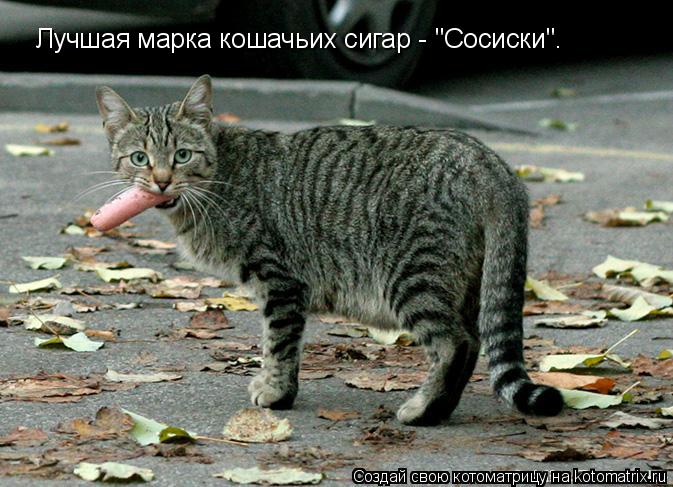 Котоматрица: Лучшая марка кошачьих сигар - "Сосиски".