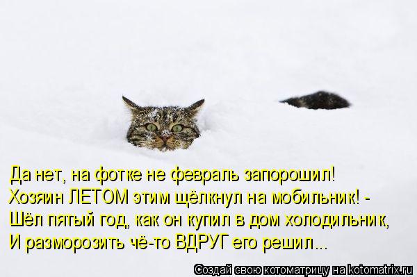 Да нет, на фотке не февраль запорошил! Хозяин ЛЕТОМ этим щёлкнул на мобильник! - Шёл пятый год, как о... Котоматрица: Да нет, на фотке не февраль запорошил! Хозяин ЛЕТОМ этим щёлкнул на мобильник! - Шёл пятый год, как он купил в дом холодильник, И разморозить ч