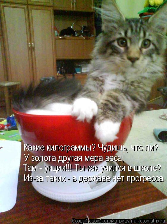 У золота другая мера веса, Там - унции!!! Ты как учился в школе? Из-за таких - в державе нет прогресс... Котоматрица: У золота другая мера веса, Там - унции!!! Ты как учился в школе? Из-за таких - в державе нет прогресса. Какие килограммы? Чудишь, что ли?