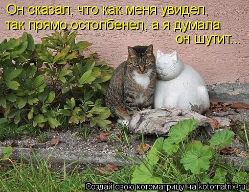 он шутит... Он сказал, что как меня увидел, так прямо остолбенел, а я думала... Котоматрица: он шутит... Он сказал, что как меня увидел, так прямо остолбенел, а я думала