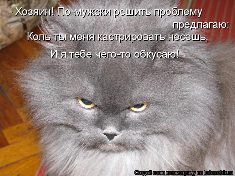 Котоматрица: - Хозяин! По-мужски решить проблему предлагаю: Коль ты меня кастрировать несешь, И я тебе чего-то обкусаю!