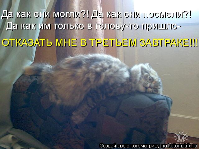 Да как они могли?! Да как они посмели?! Да как им только в голову-то пришло- ОТКАЗАТЬ МНЕ В ТРЕТЬЕМ З... Котоматрица: Да как они могли?! Да как они посмели?! Да как им только в голову-то пришло- ОТКАЗАТЬ МНЕ В ТРЕТЬЕМ ЗАВТРАКЕ!!!