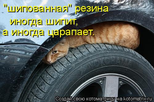 "шипованная" резина иногда шипит, a иногда царапает.... Котоматрица: "шипованная" резина иногда шипит, a иногда царапает.