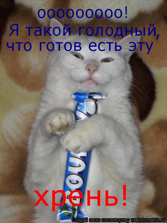ооооооооо! Я такой голодный , что готов есть эту хрень!... Котоматрица: ооооооооо! Я такой голодный , что готов есть эту хрень!