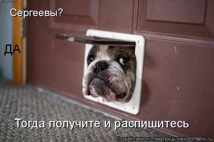 Сергеевы? ДА Тогда получите и распишитесь... Котоматрица: Сергеевы? ДА Тогда получите и распишитесь