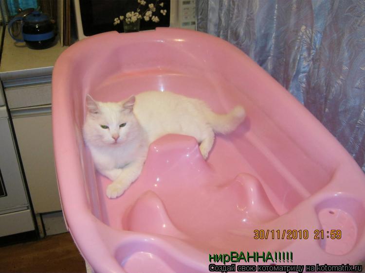 нирВАННА!!!!!... Котоматрица: нирВАННА!!!!!