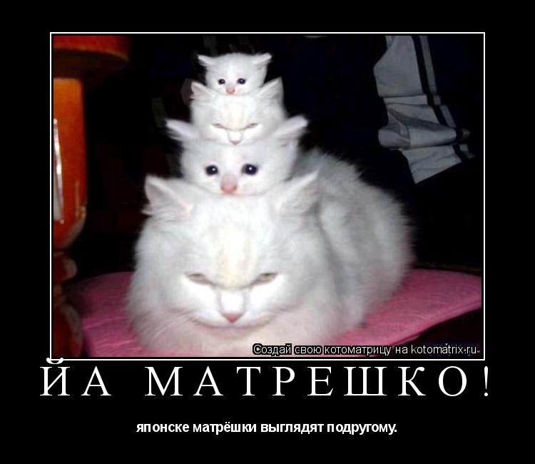 ЙА МАТРЁШКО! японске матрёшки выглядят подругому.... Котоматрица: ЙА МАТРЁШКО! японске матрёшки выглядят подругому.