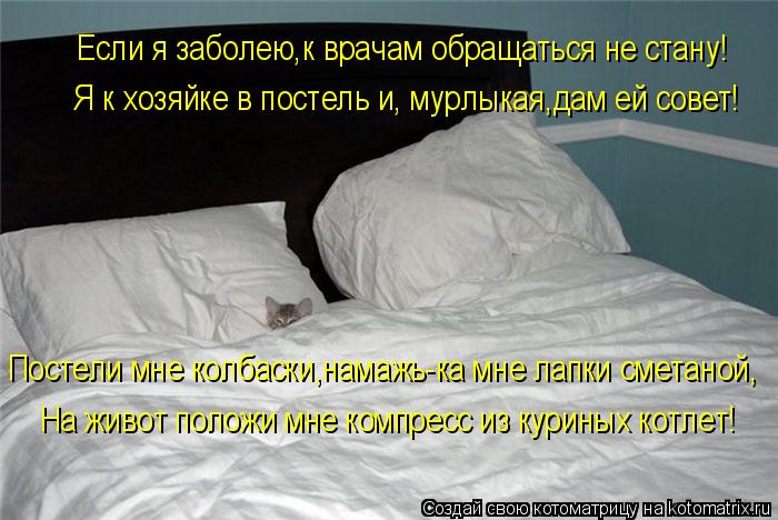 Если я заболею,к врачам обращаться не стану! Я к хозяйке в постель и, мурлыкая,дам ей совет! Постели ... Котоматрица: Если я заболею,к врачам обращаться не стану! Я к хозяйке в постель и, мурлыкая,дам ей совет! Постели мне колбаски,намажь-ка мне лапки сметано
