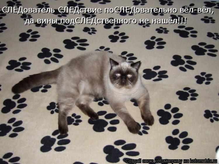 СЛЕДователь СЛЕДствие поСЛЕДовательно вёл-вёл, да вины подСЛЕДственного не нашёл!!!... Котоматрица: СЛЕДователь СЛЕДствие поСЛЕДовательно вёл-вёл, да вины подСЛЕДственного не нашёл!!!