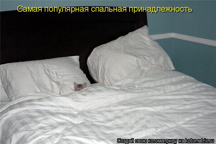 Самая популярная спальная принадлежность... Котоматрица: Самая популярная спальная принадлежность