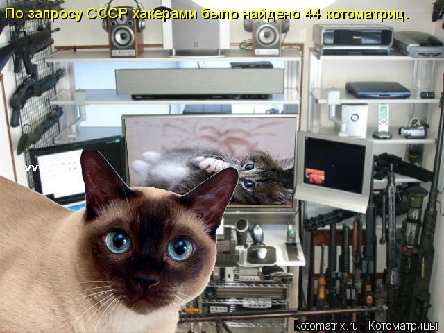 Котоматрица: По запросу СССР хакерами было найдено 44 котоматриц.