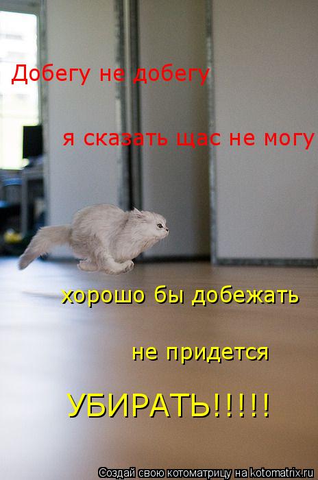 Добегу не добегу я сказать щас не могу хорошо бы добежать не придется УБИРАТЬ!!!!!... Котоматрица: Добегу не добегу я сказать щас не могу хорошо бы добежать не придется УБИРАТЬ!!!!!