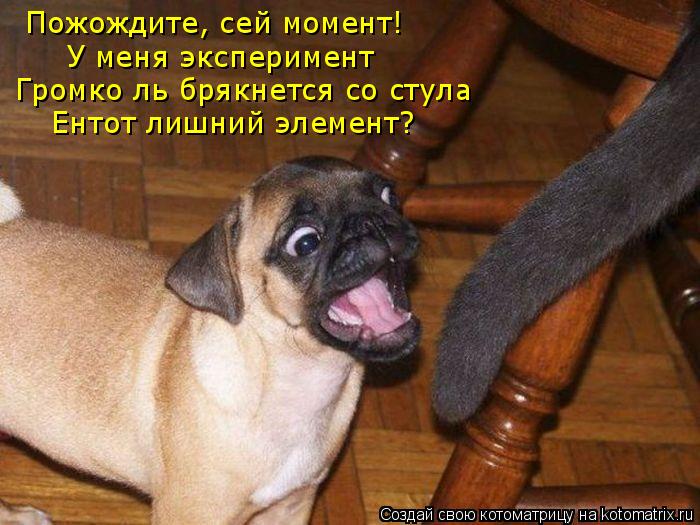 Пожождите, сей момент! У меня эксперимент Громко ль брякнется со стула Ентот лишний элемент?... Котоматрица: Пожождите, сей момент! У меня эксперимент Громко ль брякнется со стула Ентот лишний элемент?