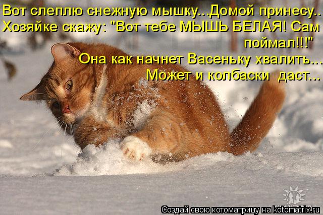 Котоматрица: Вот слеплю снежную мышку...Домой принесу... Хозяйке скажу: "Вот тебе МЫШЬ БЕЛАЯ! Сам поймал!!!" Она как начнет Васеньку хвалить... Может и колбас