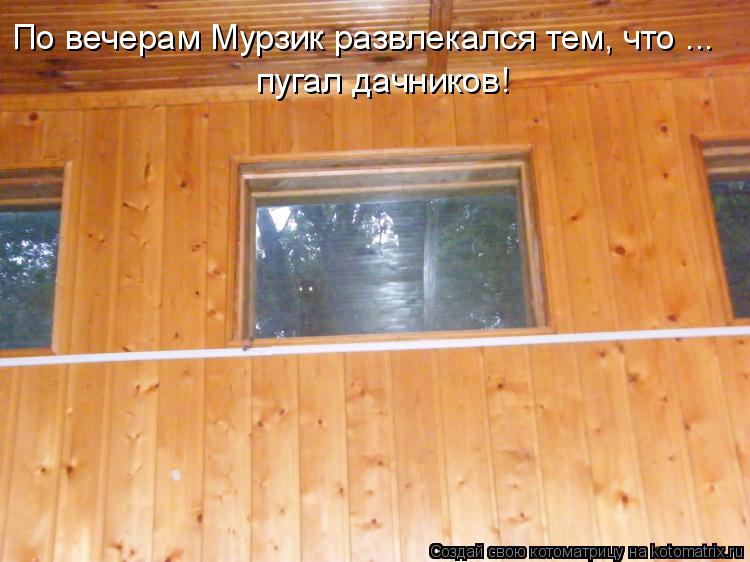 По вечерам Мурзик развлекался тем, что ... пугал дачников!... Котоматрица: По вечерам Мурзик развлекался тем, что ... пугал дачников!