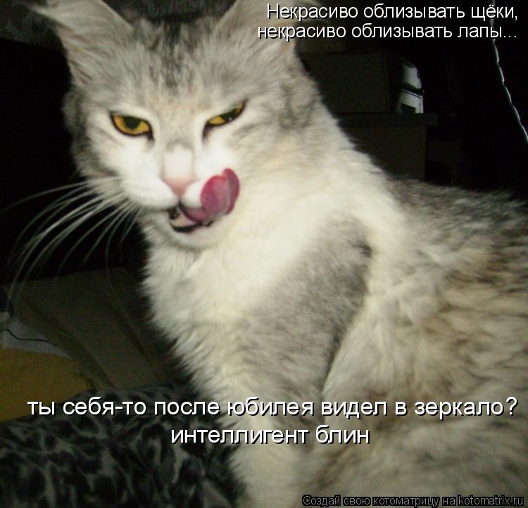 Котоматрица: Некрасиво облизывать щёки,  некрасиво облизывать лапы...  ты себя-то после юбилея видел в зеркало?  интеллигент блин
