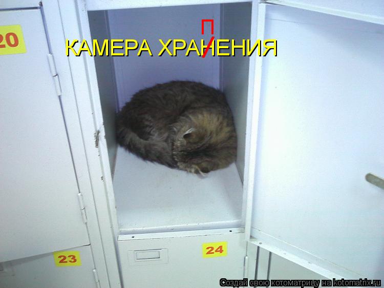 КАМЕРА ХРАНЕНИЯ / П... Котоматрица: КАМЕРА ХРАНЕНИЯ / П