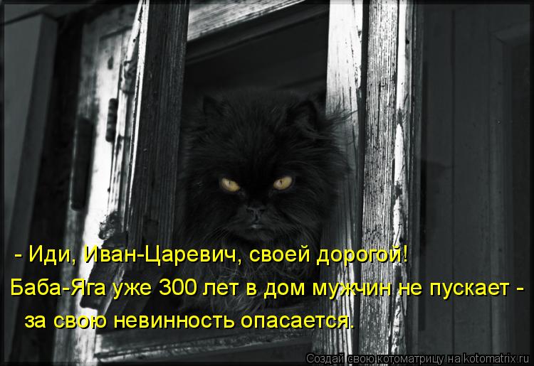- Иди, Иван-Царевич, своей дорогой! Баба-Яга уже 300 лет в дом мужчин не пускает - за свою невинност... Котоматрица: - Иди, Иван-Царевич, своей дорогой! Баба-Яга уже 300 лет в дом мужчин не пускает - за свою невинность опасается.