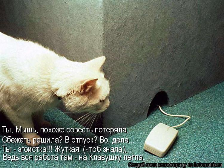 Котоматрица: Сбежать решила? В отпуск? Во, дела... Ты, Мышь, похоже совесть потеряла, Ты - эгоистка!!! Жуткая! (чтоб знала), Ведь вся работа там - на Клавушку ле