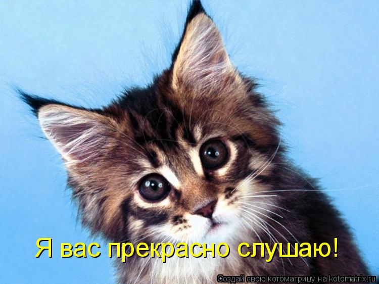 Я вас прекрасно слушаю!... Котоматрица: Я вас прекрасно слушаю!