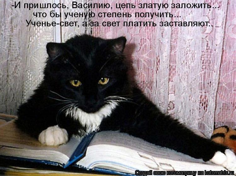 Котоматрица: -И пришлось, Василию, цепь златую заложить... что бы ученую степень получить...  Ученье-свет, а за свет платить заставляют..