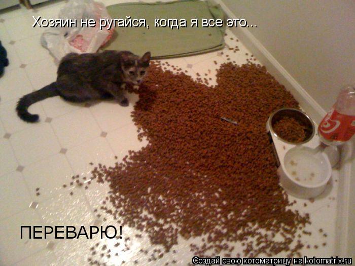 Хозяин не ругайся, когда я все это... ПЕРЕВАРЮ!... Котоматрица: Хозяин не ругайся, когда я все это... ПЕРЕВАРЮ!