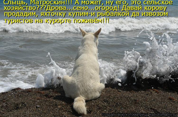 Котоматрица: Слышь, Матроскин!!! А может, ну его, это сельское хозяйство???Дрова...сено...огород! Давай корову  продадим, яхточку купим-и рыбалкой да извозом 