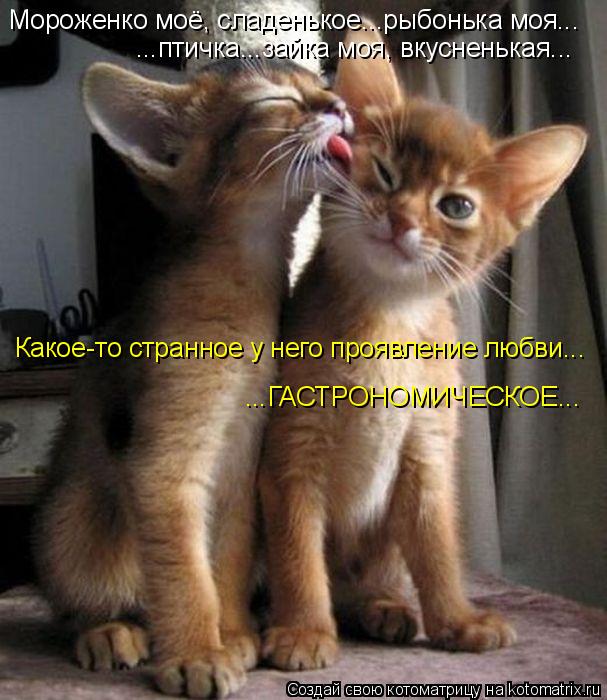 моей зайке картинки онлайн моей зайке картинки