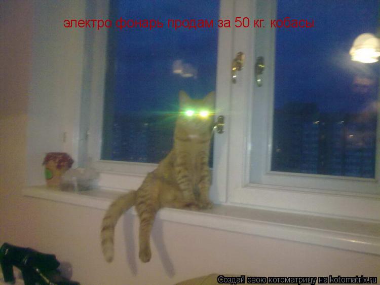 электро фонарь продам за 50 кг. кобасы... Котоматрица: электро фонарь продам за 50 кг. кобасы