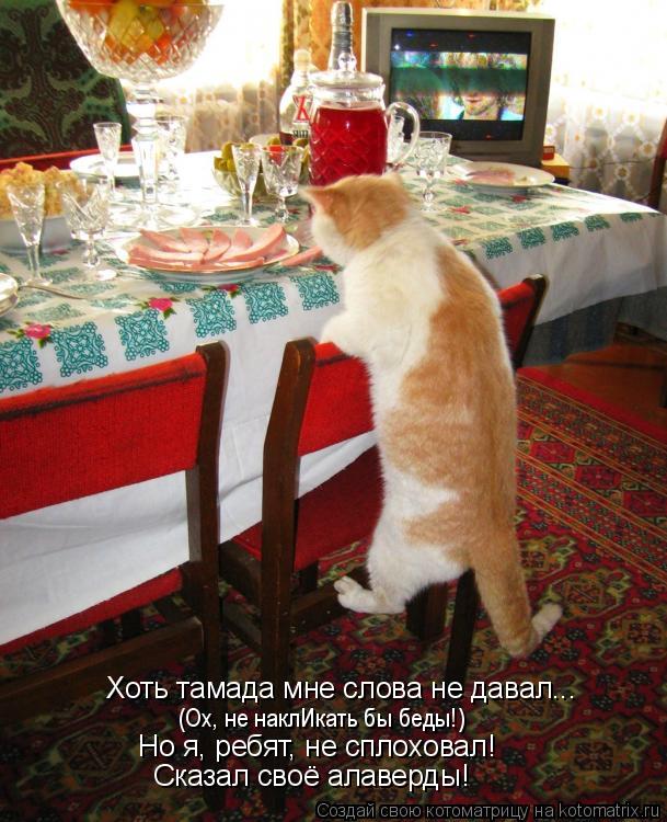 Но я, ребят, не сплоховал! Сказал своё алаверды! (Ох, не наклИкать бы беды!) Хоть тамада мне слова не... Котоматрица: Но я, ребят, не сплоховал! Сказал своё алаверды! (Ох, не наклИкать бы беды!) Хоть тамада мне слова не давал...