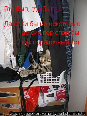 Где был, где был.... Да если бы не некоторые, до сих пор спал бы, как порядочный кот!... Котоматрица: Где был, где был.... Да если бы не некоторые, до сих пор спал бы, как порядочный кот!