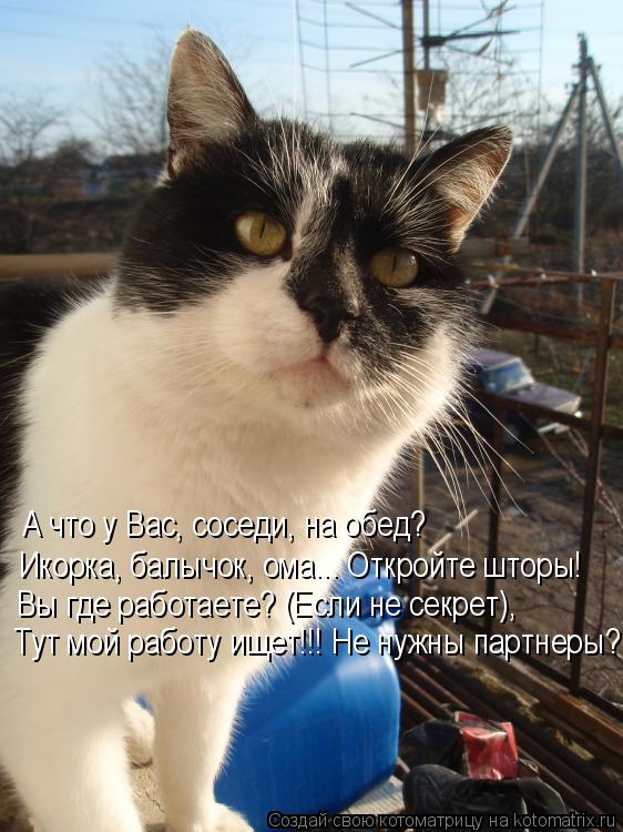Котоматрица: А что у Вас, соседи, на обед? Икорка, балычок, ома... Откройте шторы! Вы где работаете? (Если не секрет), Тут мой работу ищет!!! Не нужны партнеры?