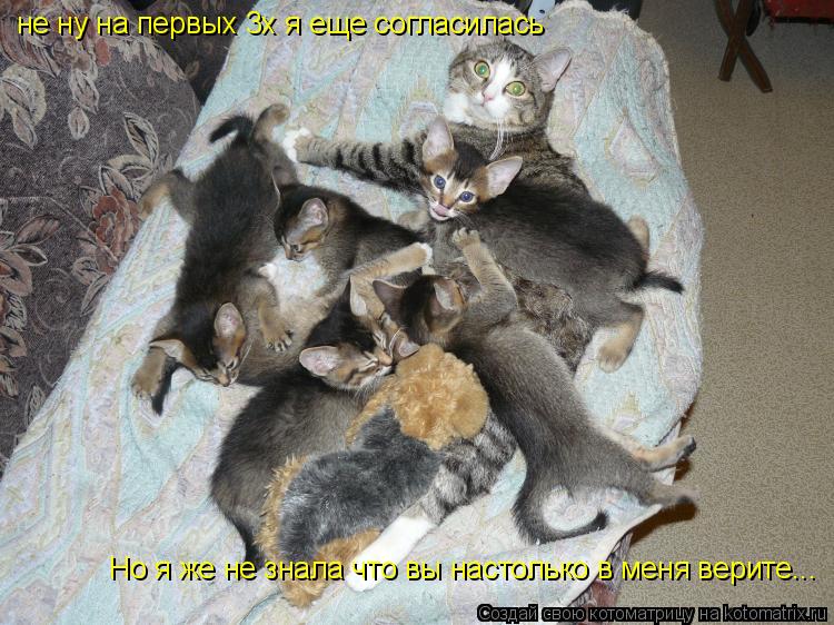 не ну на первых 3х я еще согласилась Но я же не знала что вы настолько в меня верите...... Котоматрица: не ну на первых 3х я еще согласилась Но я же не знала что вы настолько в меня верите...