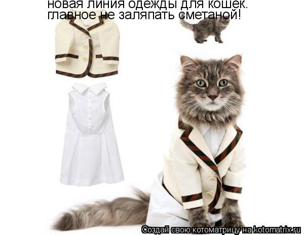 новая линия одежды для кошек. главное не заляпать сметаной!... Котоматрица: новая линия одежды для кошек. главное не заляпать сметаной!