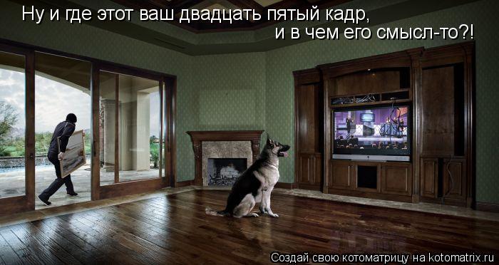 Ну и где этот ваш двадцать пятый кадр, и в чем его смысл-то?!... Котоматрица: Ну и где этот ваш двадцать пятый кадр, и в чем его смысл-то?!